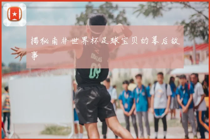 揭秘南非世界杯足球宝贝的幕后故事