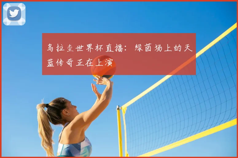 乌拉圭世界杯直播:绿茵场上的天蓝传奇正在上演