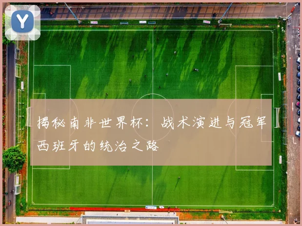 揭秘南非世界杯:战术演进与冠军西班牙的统治之路