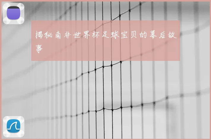 揭秘南非世界杯足球宝贝的幕后故事