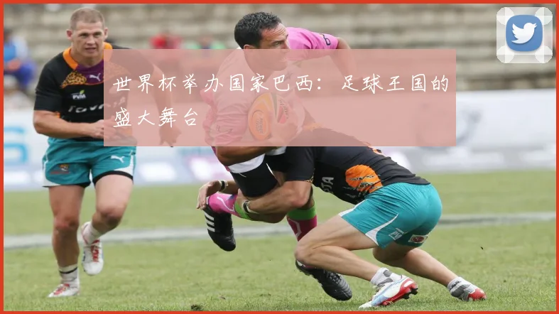 世界杯举办国家巴西:足球王国的盛大舞台