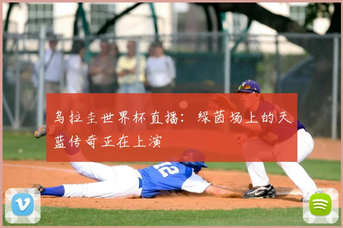 乌拉圭世界杯直播:绿茵场上的天蓝传奇正在上演